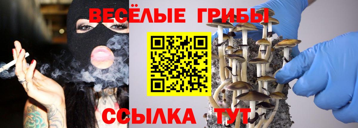 Псилоцибиновые грибы Psilocybine cubensis  Вход с VPN  Тосно 